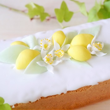 レモンケーキ教室